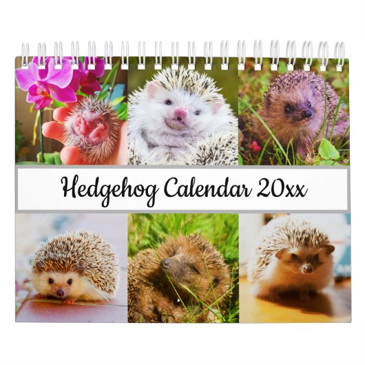 Igel Kalender (Titelbild)