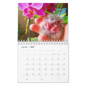 Igel Kalender (Jan 2027)