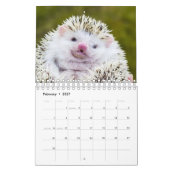 Igel Kalender (Feb 2027)