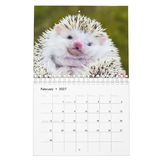 Igel Kalender (Feb 2027)
