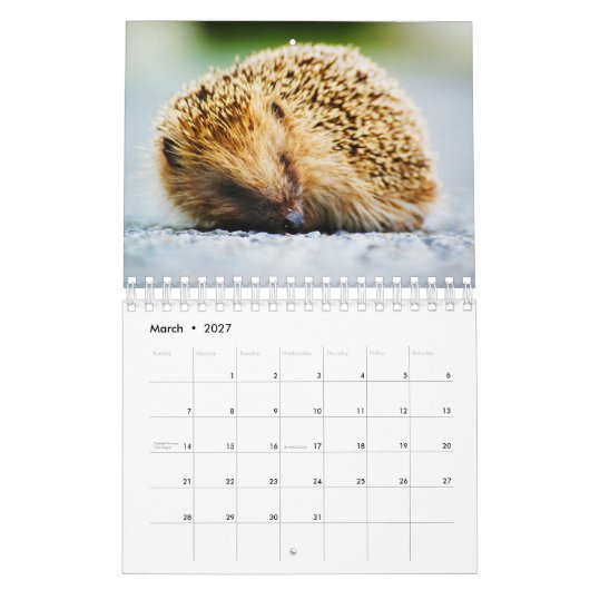 Igel Kalender (Mär 2027)