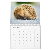 Igel Kalender (Mär 2026)