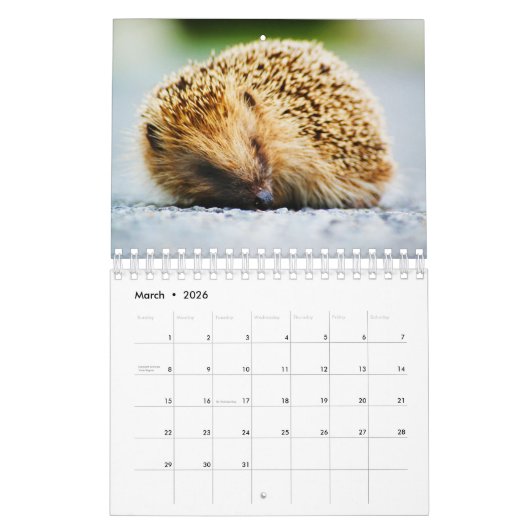 Igel Kalender (Mär 2026)