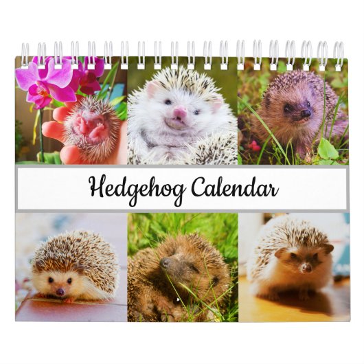 Igel Kalender (Titelbild)