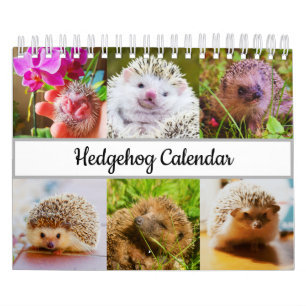 Igel Kalender
