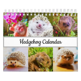Igel Kalender