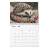 Igel Kalender (Feb 2027)