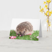 Igel Karte (Gelbe Blume)