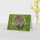 Igel-Karte Karte (Gelbe Blume)