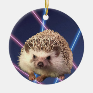 Igel Keramik Ornament