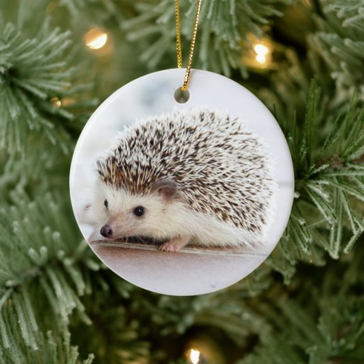 Igel Keramik Ornament (Baum)
