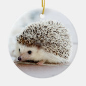 Igel Keramik Ornament (Vorne)