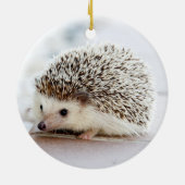 Igel Keramik Ornament (Hinten)
