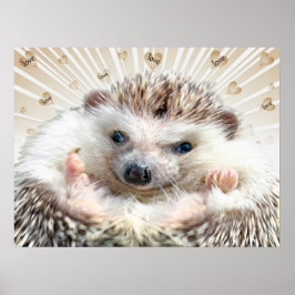Igel Liebe Poster
