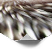 Igel Liebe Poster (Ecke)