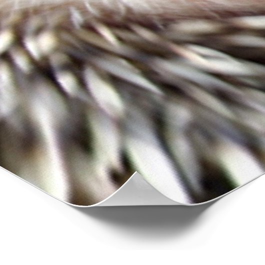 Igel Liebe Poster (Ecke)