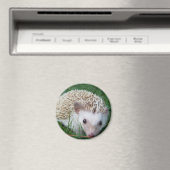 Igel Magnet (In Situ (Geschirrspüler))