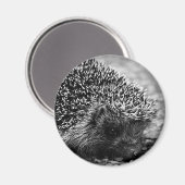 Igel Magnet (Vorderseite/Rückseite)