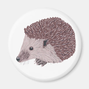 Igel Magnet
