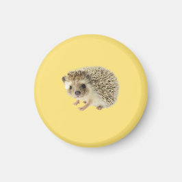 Igel Magnet