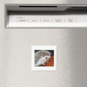 Igel Magnet (In Situ (Geschirrspüler))