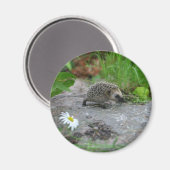 Igel-Magnet - anpassbar Magnet (Vorderseite/Rückseite)