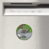 Igel-Magnet - anpassbar Magnet (In Situ (Geschirrspüler))