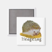 Igel-Magnet Magnet (Vorderseite/Rückseite)