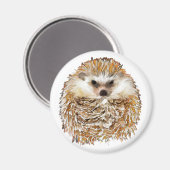 Igel-Magnet Magnet (Vorderseite/Rückseite)