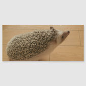 Igel-Magnetkarte Magnetkarte (Vorderseite)