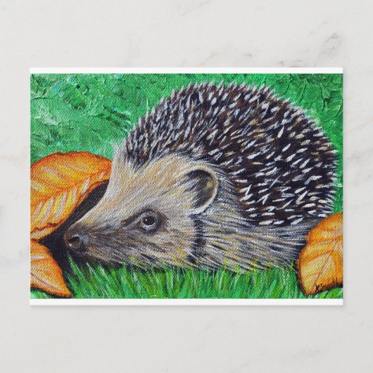 Igel-Malerei Postkarte (Vorderseite)