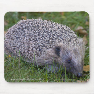 Igel-Mauspad Mousepad