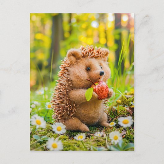 Igel mit Apple in Daisy Patch Postkarte (Vorderseite)