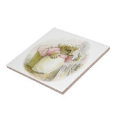 Igel mit Eisen-Frau Tiggy-Strandschnecke Fliese (Seite)