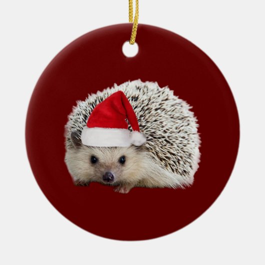 Igel mit Hat Lights Weihnachten Keramik Ornament (Vorne)