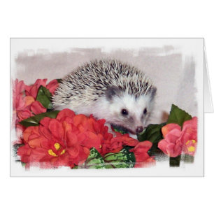 Igel mit orangefarbenen Blume