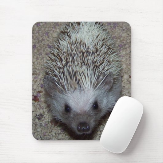 Igel Mousepad (Mit Mouse)