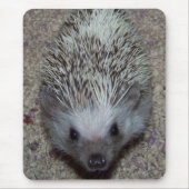 Igel Mousepad (Vorne)