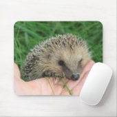 Igel Mousepad (Mit Mouse)