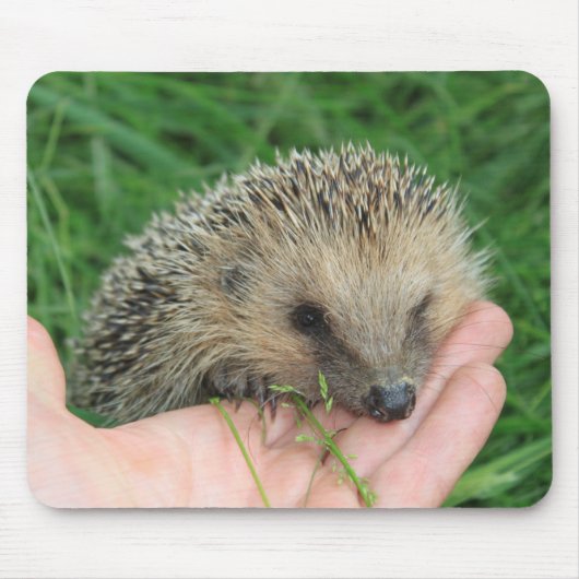 Igel Mousepad (Vorne)