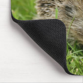 Igel Mousepad (Ecke)
