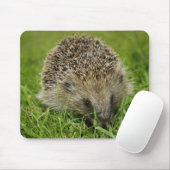 Igel Mousepad (Mit Mouse)