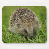 Igel Mousepad (Vorne)