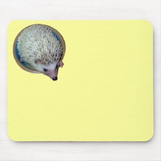 Igel Mousepad (Vorne)