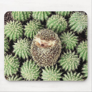 Igel Mousepad