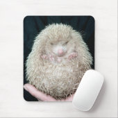 Igel Mousepad (Mit Mouse)