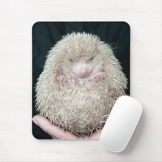 Igel Mousepad (Mit Mouse)