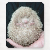 Igel Mousepad (Vorne)