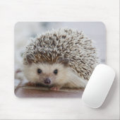 Igel Mousepad (Mit Mouse)
