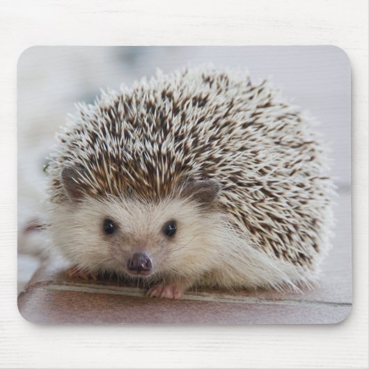 Igel Mousepad (Vorne)